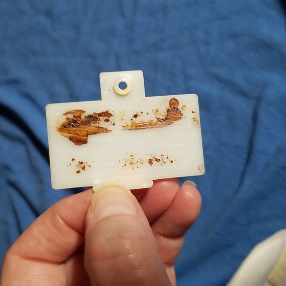 Baby Ds Dinosaur Hatching from Egg Stuff Animal - Picture 7 of 10